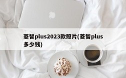 菱智plus2023款照片(菱智plus多少钱)