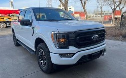 福特1050巨型皮卡(2021款福特150皮卡)