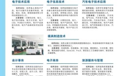 电子商务专业是学什么的 电子商务是什么专业