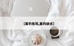 【翼豹有驾,翼豹缺点】