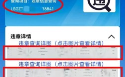沈阳机动车违章查询系统,沈阳车辆违章查询app哪个好