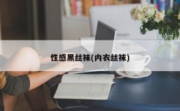 性感黑丝袜(内衣丝袜)