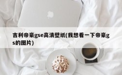 吉利帝豪gse高清壁纸(我想看一下帝豪gs的图片)
