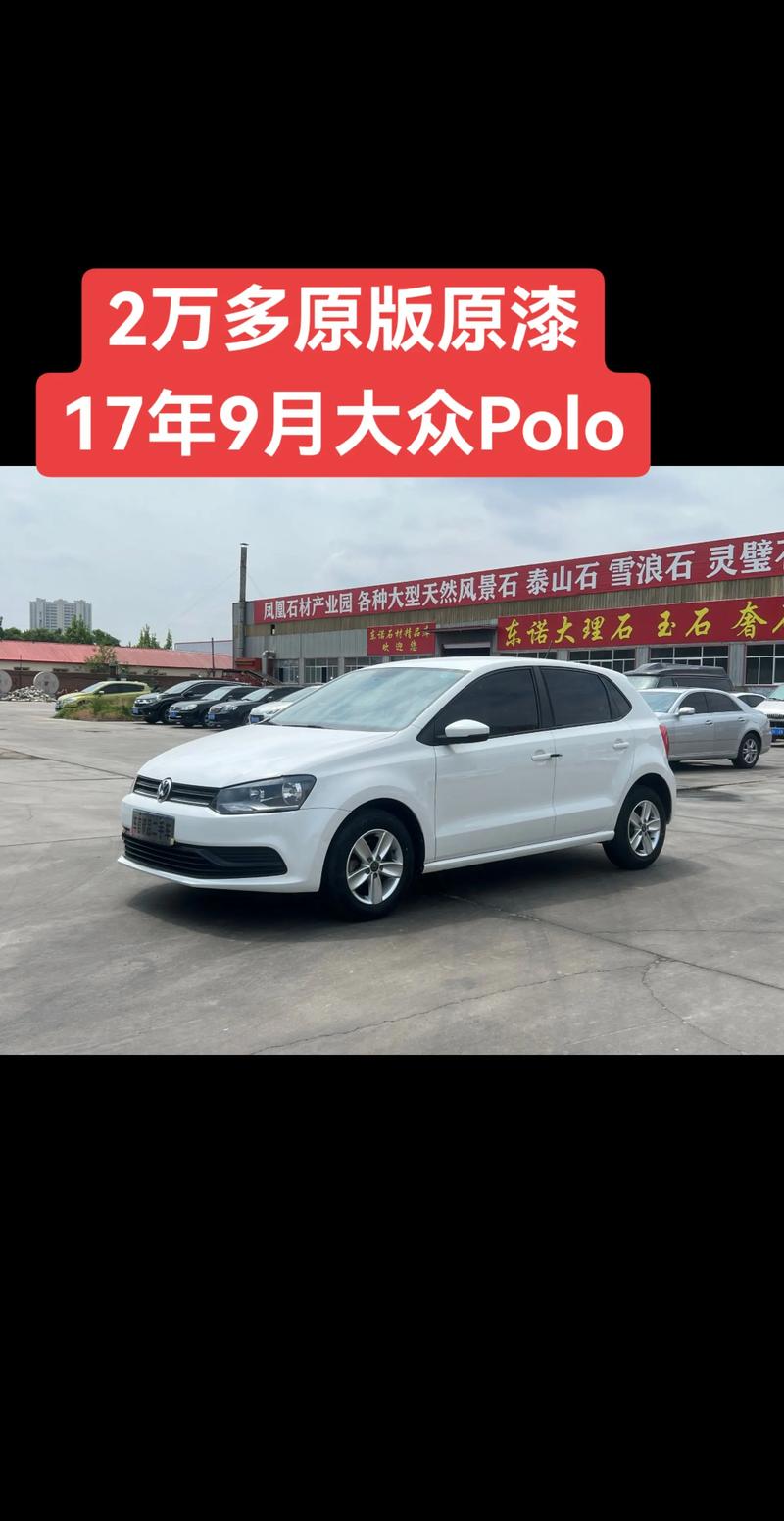 大众polo油电混合款报价/大众polo油电混合款报价图片