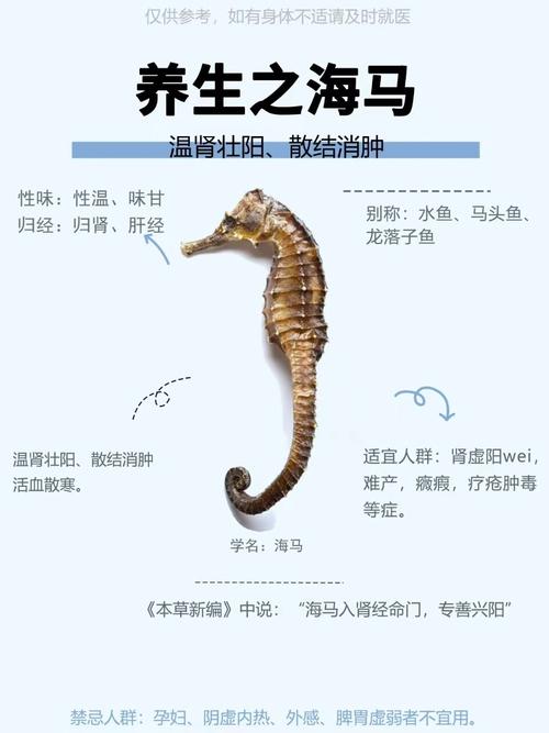 海马的功效与作用价格/海马的功效主治
